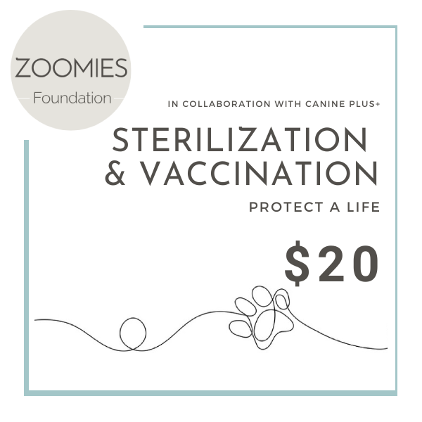 Protect a Life for $20: Vaccinate and Sterilize