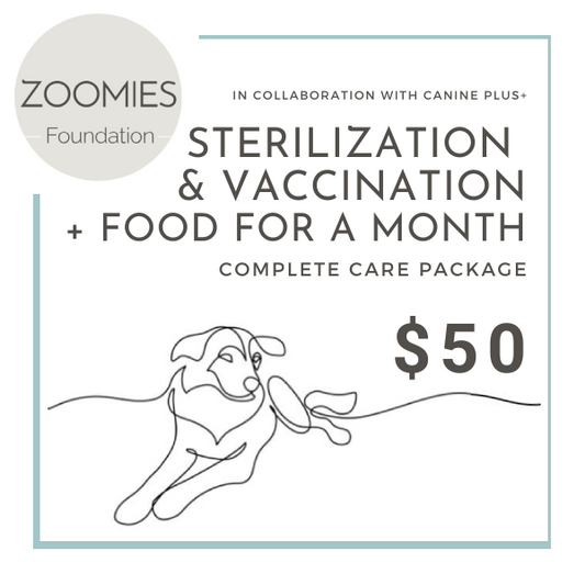 Transform Stray Lives for $50: Feed, Vaccinate and Sterilize